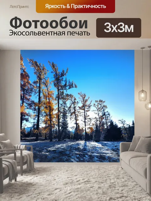 Фотообои Зима