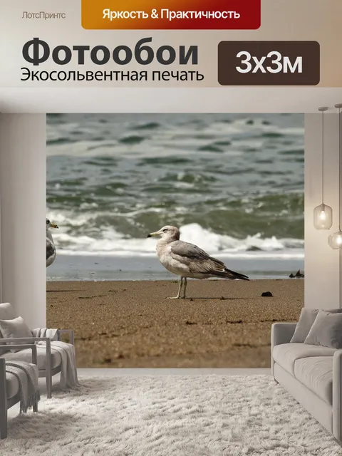 Фотообои Животное