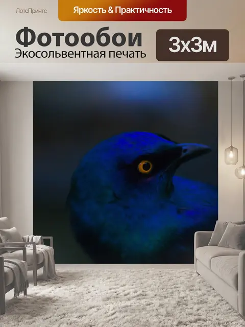 Фотообои Птица