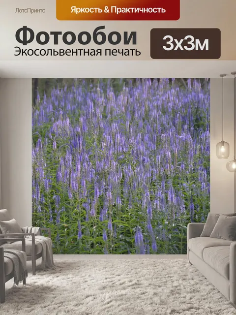 Фотообои Листья
