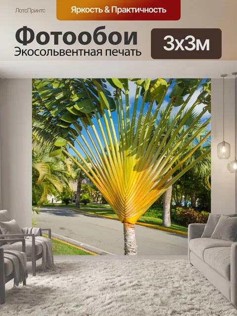 Фотообои Тропический парк