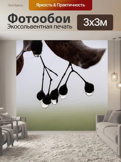 Фотообои Туман