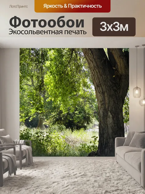 Фотообои Большой тенистым деревом