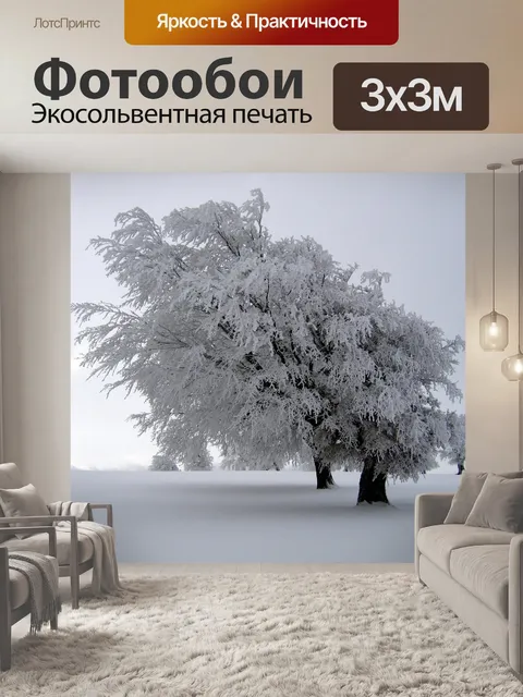 Фотообои Снегом деревья