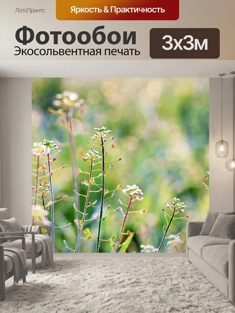 Фотообои Луг