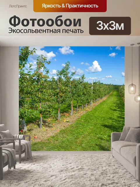 Фотообои Яблочный сад