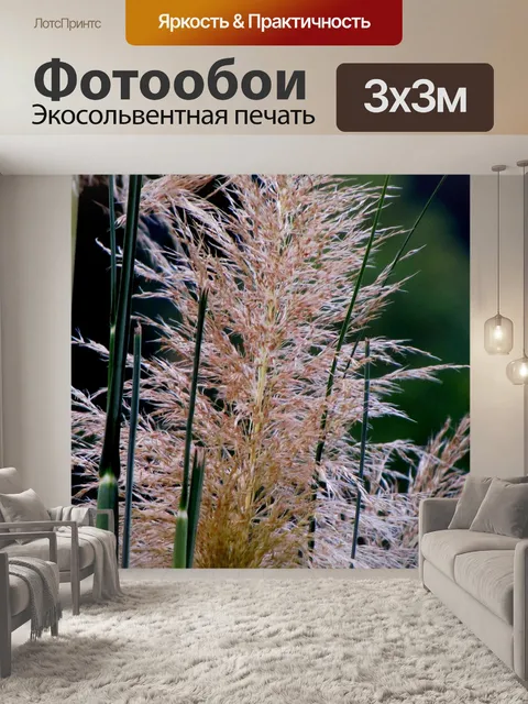 Фотообои Трава