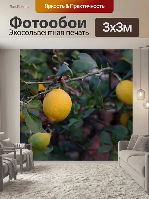 Фотообои спелый желтый лимон на дереве