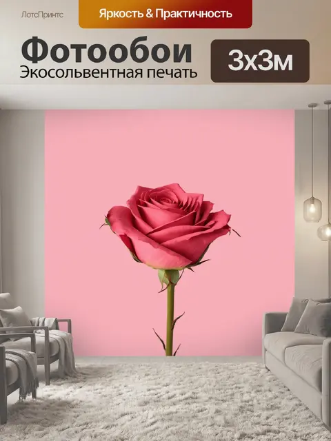 Фотообои розы в стиле минимализм