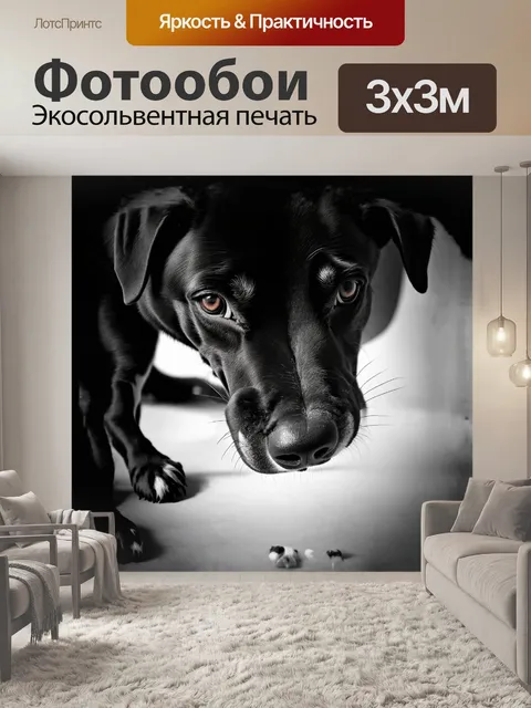 Фотообои голова собаки, нос, нюхать