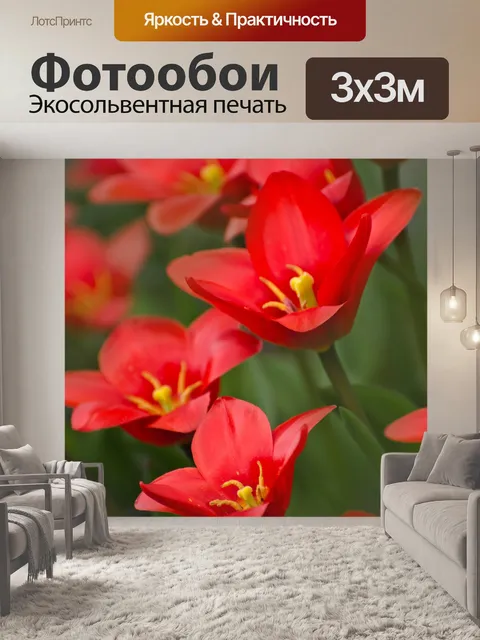 Фотообои Цветы