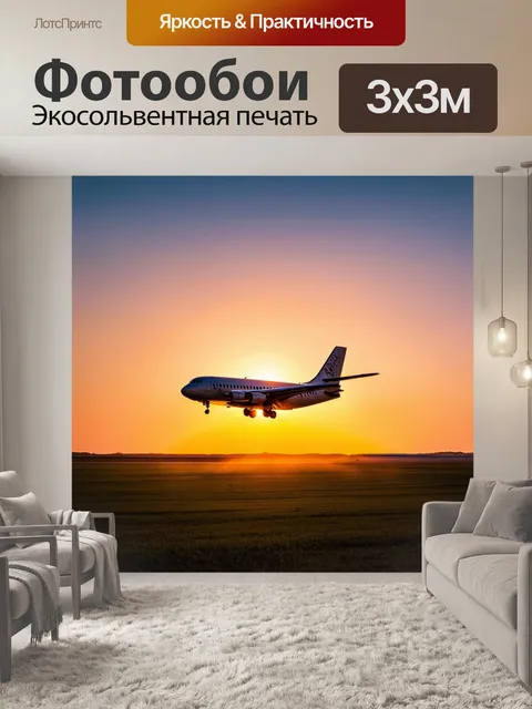 Фотообои пейзаж с самолетом на фоне заката