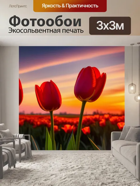 Фотообои тюльпаны на фоне красивого заката
