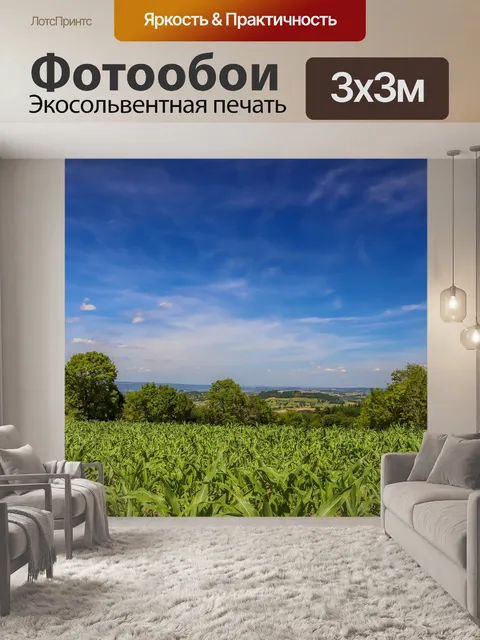 Фотообои Поля