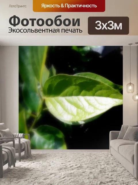 Фотообои Только один лист