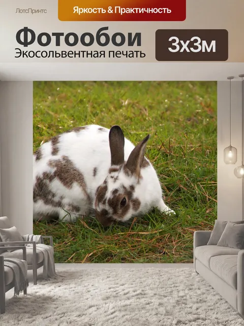 Фотообои Зайчик кролик зайчик пасха
