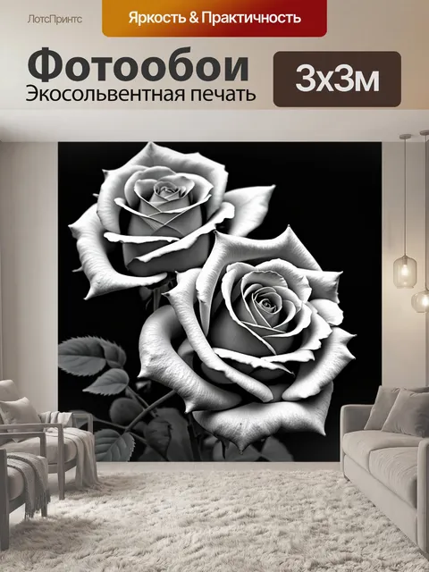 Фотообои черно-белая фотография роз с ярким акцентом