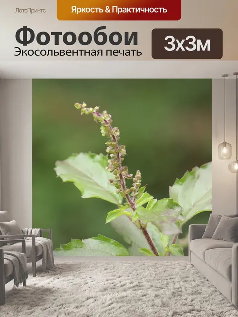 Фотообои Листья