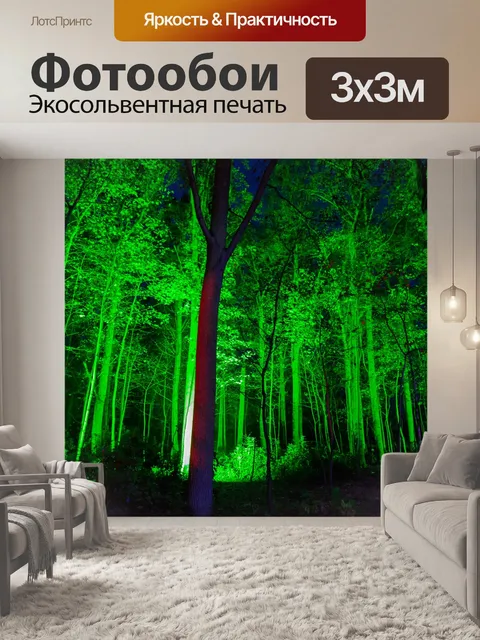 Фотообои жуткий лес