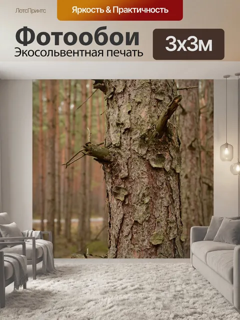 Фотообои Лес