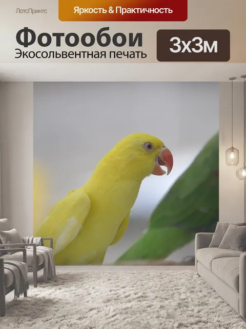 Фотообои Птица