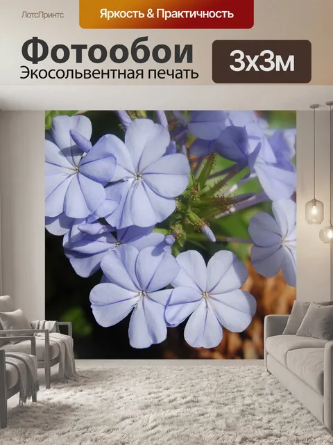Фотообои Графит
