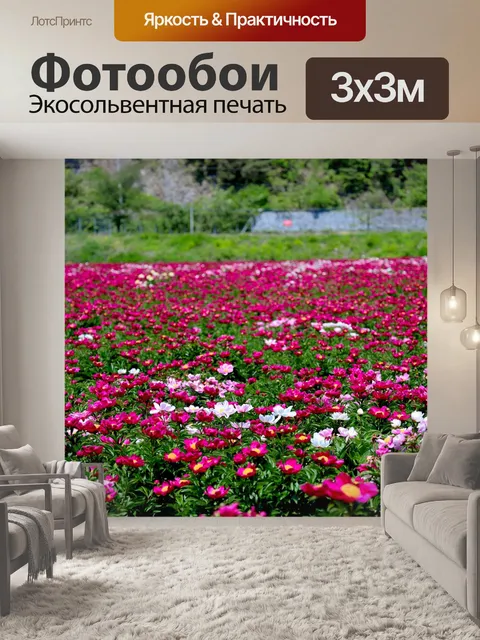 Фотообои Цветы