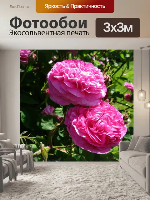 Фотообои Розы