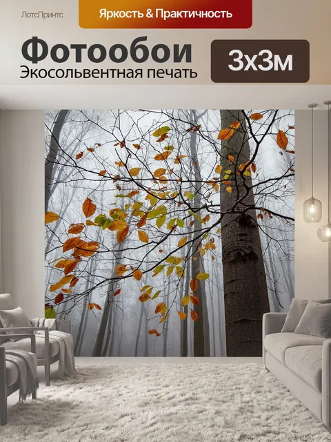 Фотообои Осень