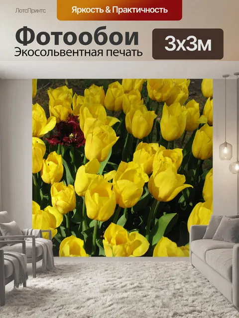 Фотообои Цветы