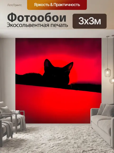 Фотообои чёрная кошка, прячущаяся в красном закате, её силуэт контрастирует с яркими, теплыми тонами неба