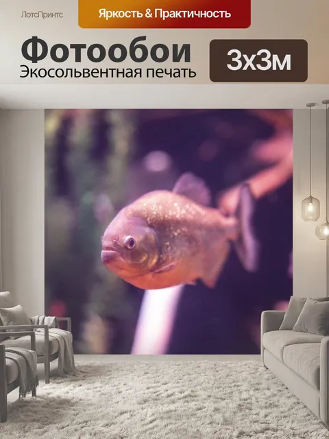 Фотообои Рыба