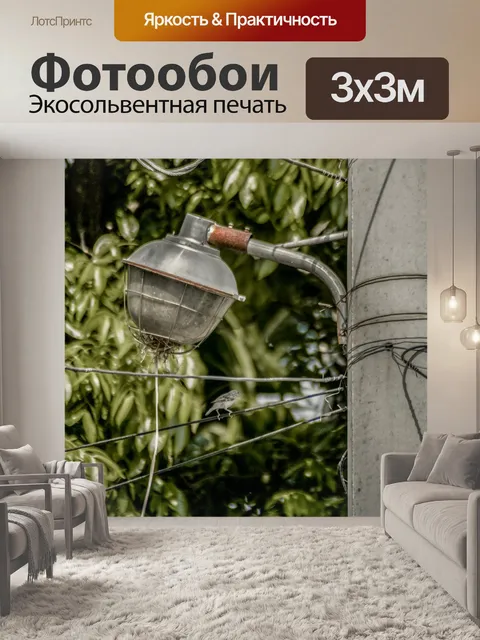 Фотообои Птицы