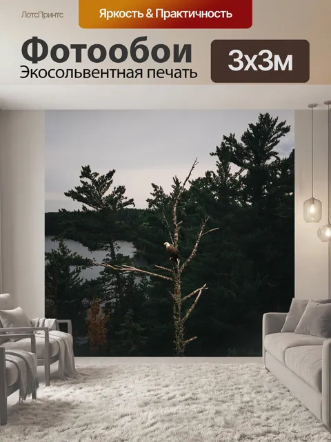 Фотообои Орел