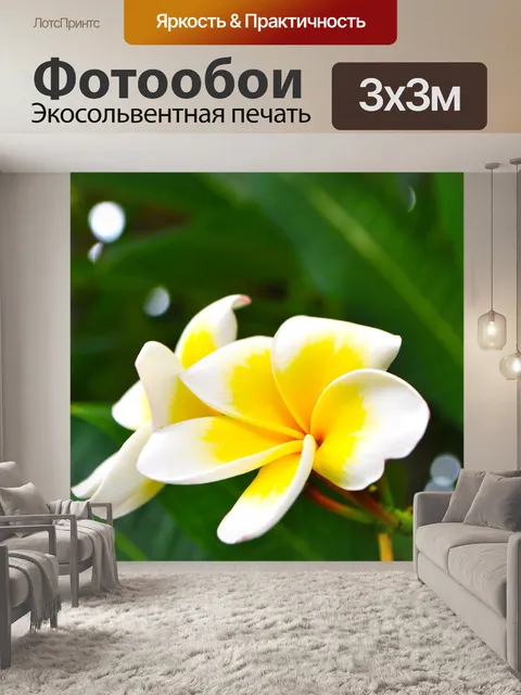 Фотообои Цветы франжипани