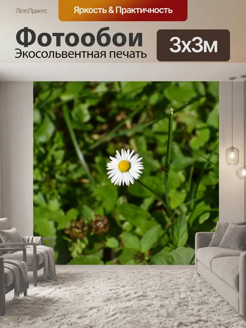 Фотообои Цветы