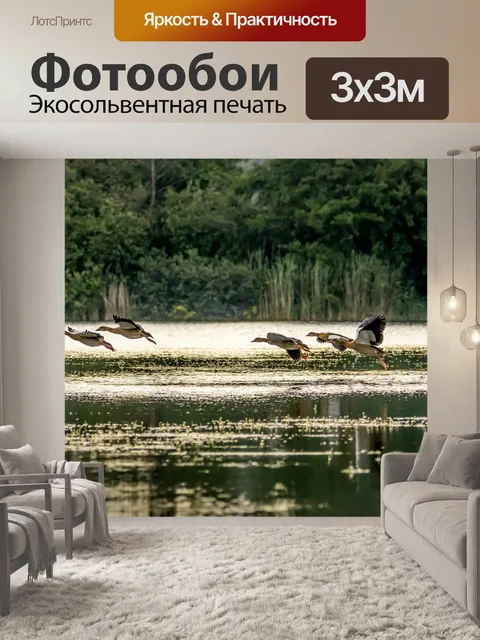 Фотообои Птицы