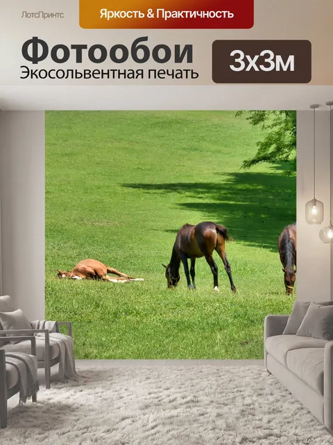 Фотообои Лошади