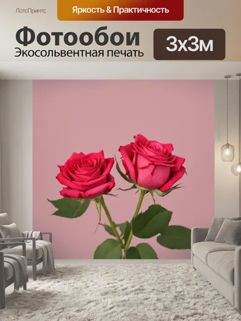 Фотообои розы в стиле минимализм