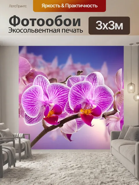 Фотообои Орхидеи