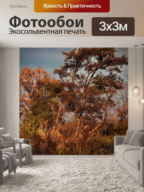Фотообои Деревья