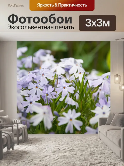 Фотообои Цветы