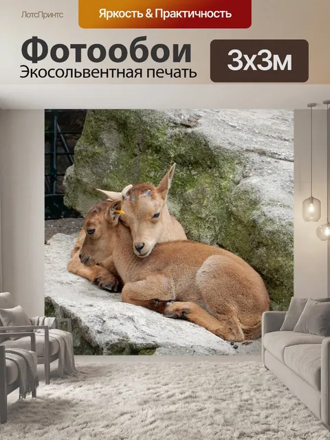 Фотообои Козерог
