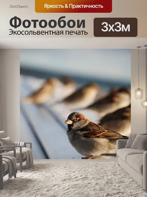 Фотообои Птицы