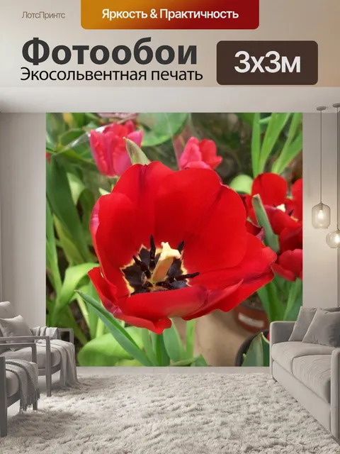Фотообои Тюльпан