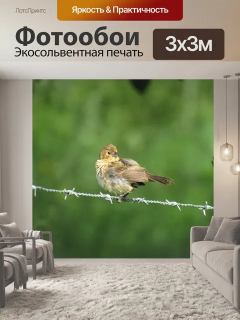 Фотообои Птица