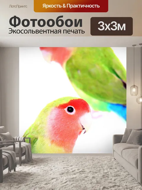 Фотообои Птицы