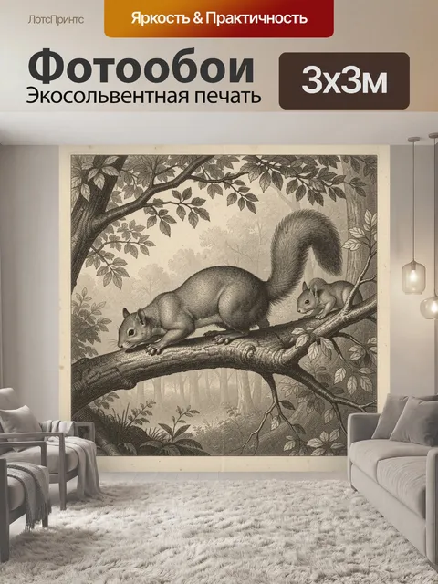 Фотообои Белки на лесной ветке