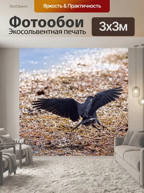 Фотообои Птица