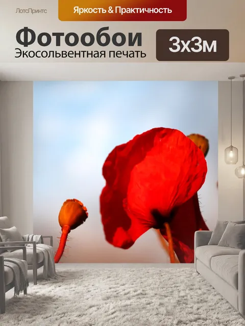 Фотообои Мак